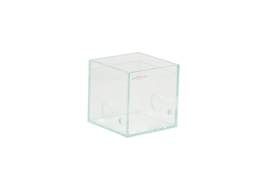 ANTCUBE - arena 10x10x10 - center